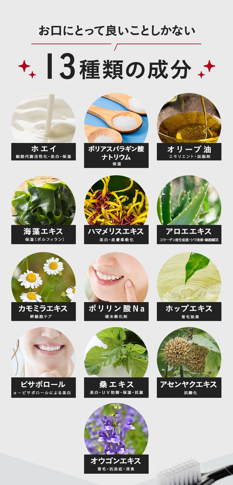 お口にとって良いことしかない 13種類の成分