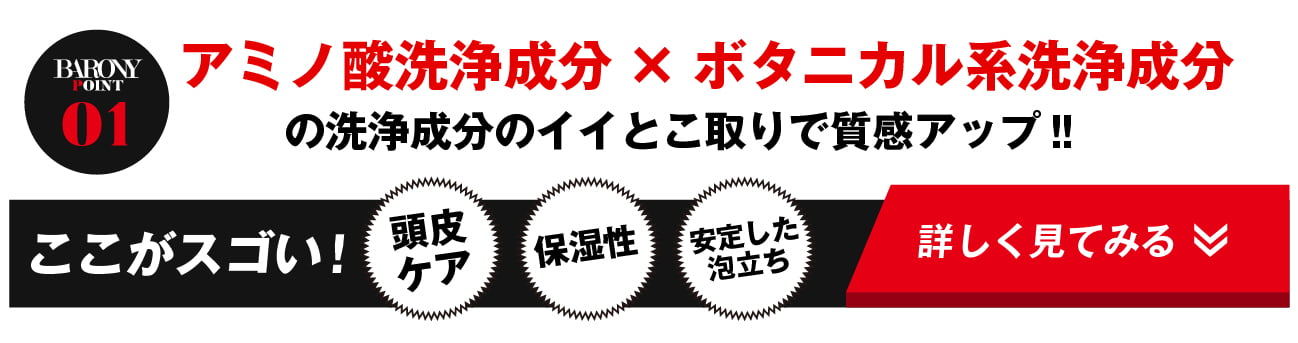 マグネットシャンプー Magnet Shampoo BARONY POINT01