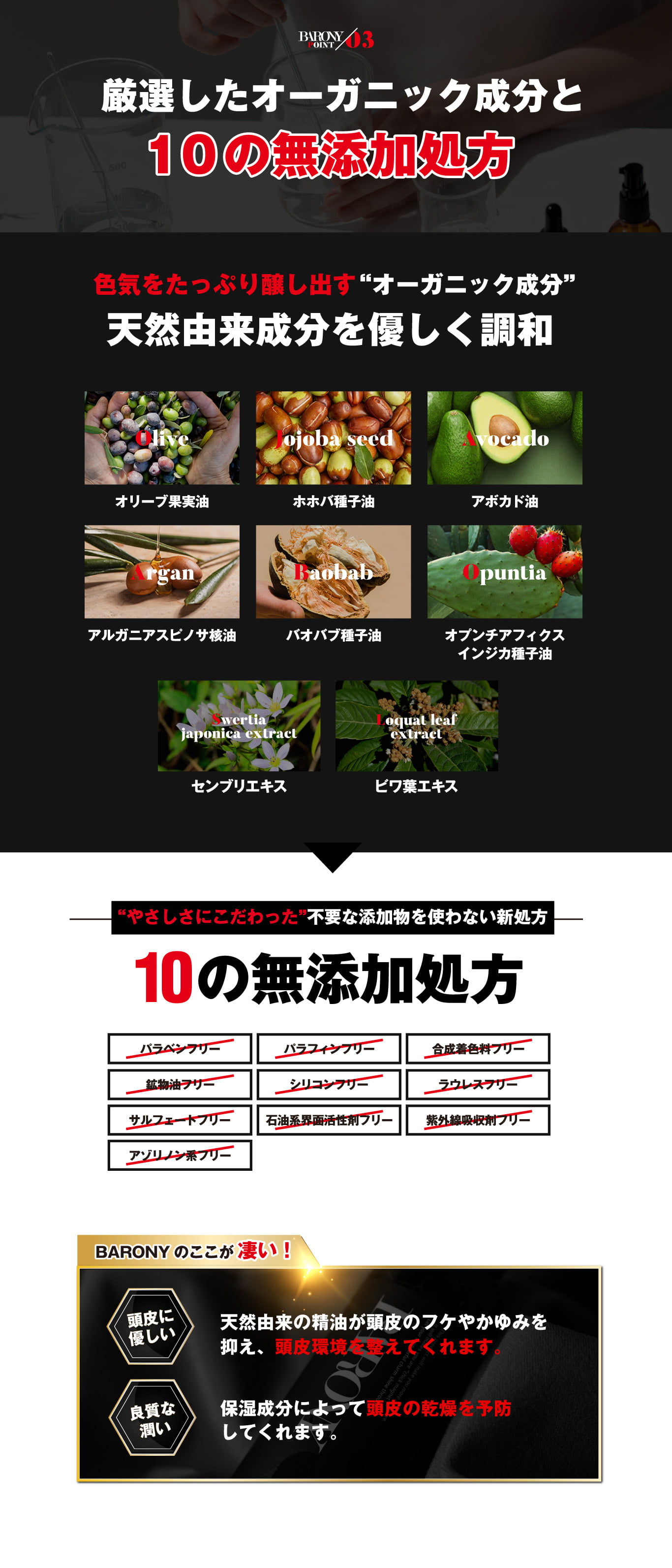 マグネットシャンプー Magnet Shampoo BARONY POINT03