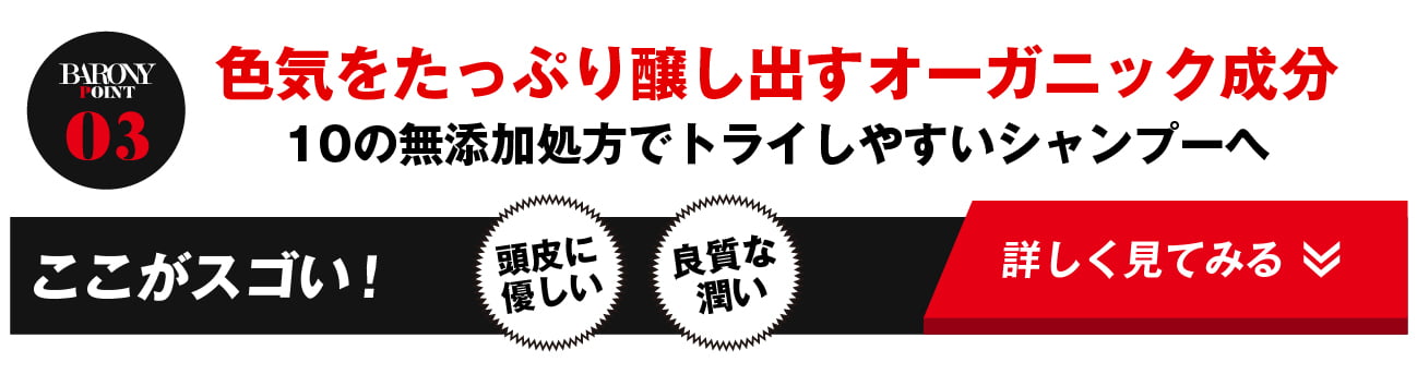 マグネットシャンプー Magnet Shampoo BARONY POINT03