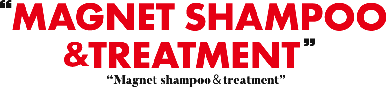 マグネットシャンプー Magnet Shampoo BARONY 10のフリー処方
